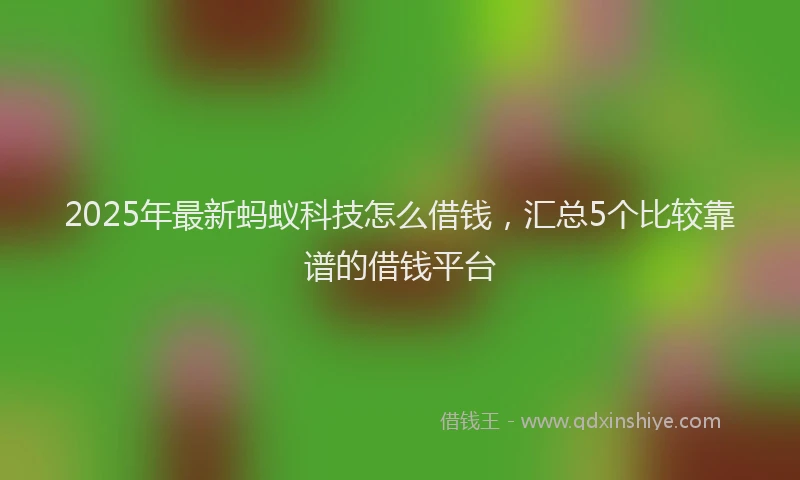 2025年最新蚂蚁科技怎么借钱，汇总5个比较靠谱的借钱平台