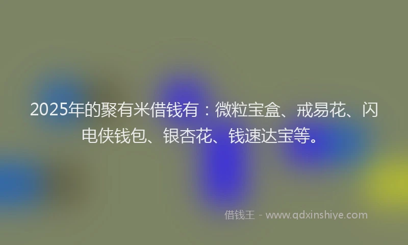 2025年的聚有米借钱有:微粒宝盒、戒易花、闪电侠钱包、银杏花、钱速达宝等。