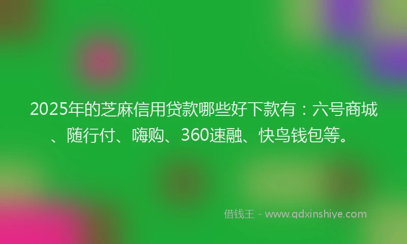 2025年的芝麻信用贷款哪些好下款有：六号商城、随行付、嗨购、360速融、快鸟钱包等。