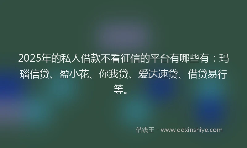 2025年的私人借款不看征信的平台有哪些有：玛瑙信贷、盈小花、你我贷、爱达速贷、借贷易行等。