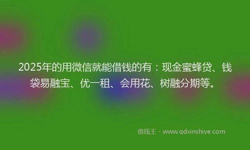 2025年的用微信就能借钱的有：现金蜜蜂贷、钱袋易融宝、优一租、会用花、树融分期等。