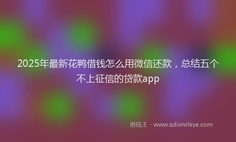 2025年最新花鸭借钱怎么用微信还款，总结五个不上征信的贷款app