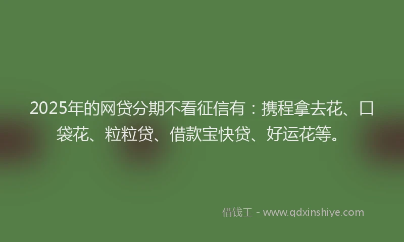 2025年的网贷分期不看征信有：携程拿去花、口袋花、粒粒贷、借款宝快贷、好运花等。