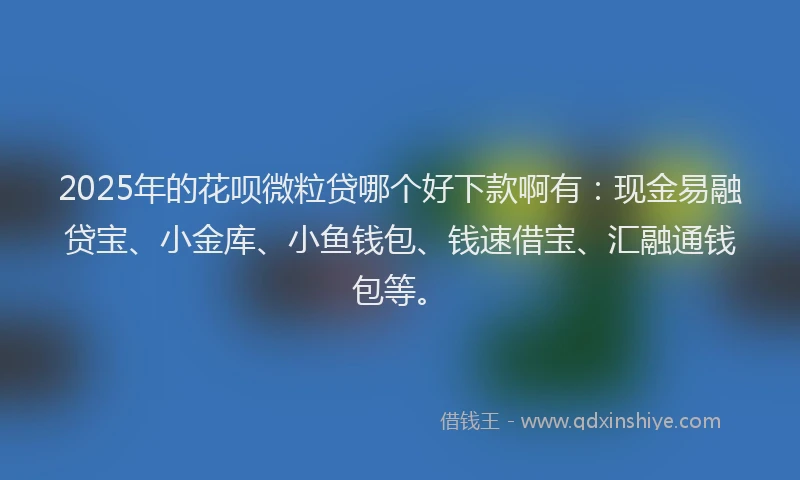 2025年的花呗微粒贷哪个好下款啊有：现金易融贷宝、小金库、小鱼钱包、钱速借宝、汇融通钱包等。