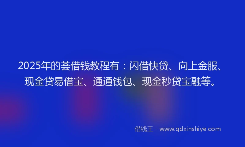 2025年的荟借钱教程有：闪借快贷、向上金服、现金贷易借宝、通通钱包、现金秒贷宝融等。