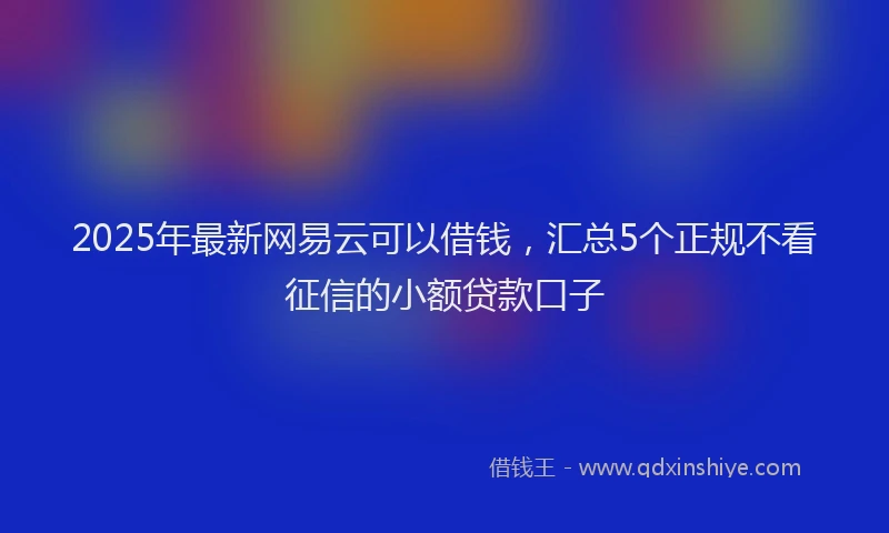 2025年最新网易云可以借钱，汇总5个正规不看征信的小额贷款口子