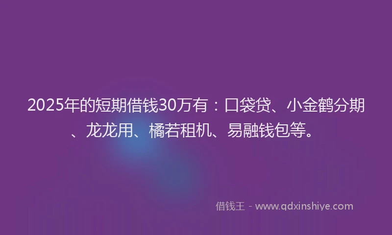2025年的短期借钱30万有：口袋贷、小金鹤分期、龙龙用、橘若租机、易融钱包等。