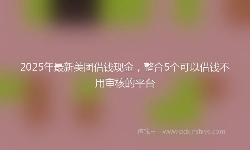 2025年最新美团借钱现金，整合5个可以借钱不用审核的平台