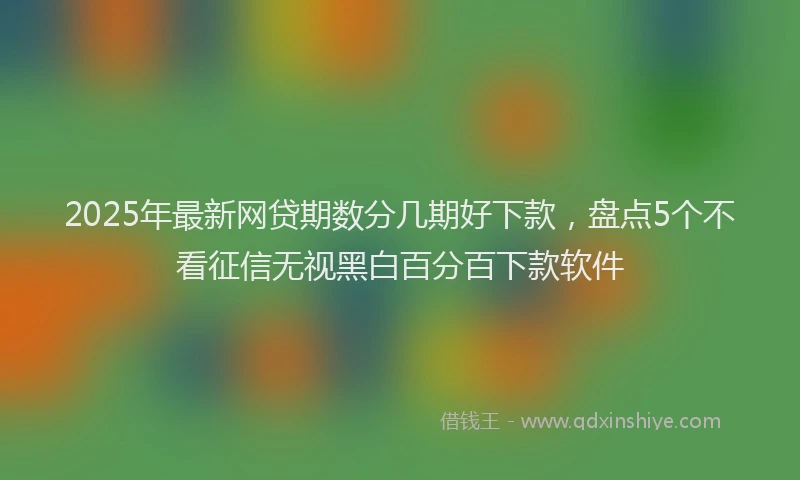 2025年最新网贷期数分几期好下款，盘点5个不看征信无视黑白百分百下款软件