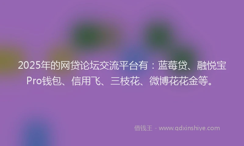 2025年的网贷论坛交流平台有：蓝莓贷、融悦宝Pro钱包、信用飞、三枝花、微博花花金等。