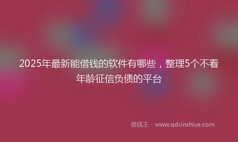 2025年最新能借钱的软件有哪些，整理5个不看年龄征信负债的平台