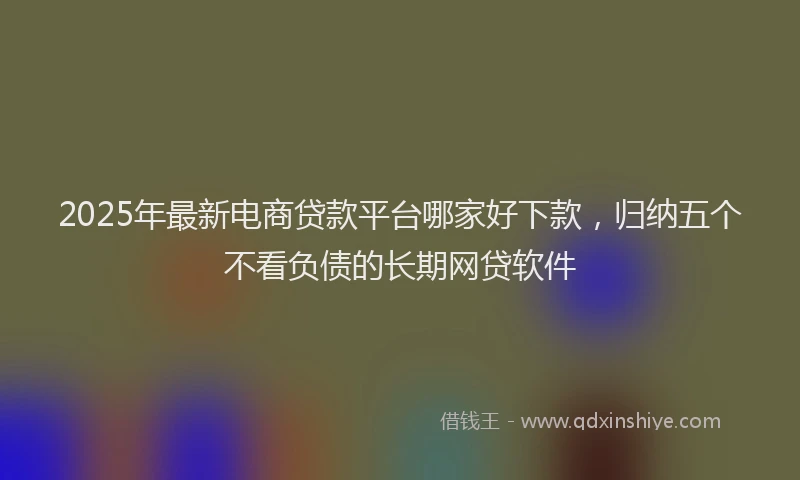2025年最新电商贷款平台哪家好下款，归纳五个不看负债的长期网贷软件