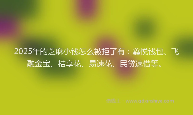 2025年的芝麻小钱怎么被拒了有：鑫悦钱包、飞融金宝、桔享花、易速花、民贷速借等。