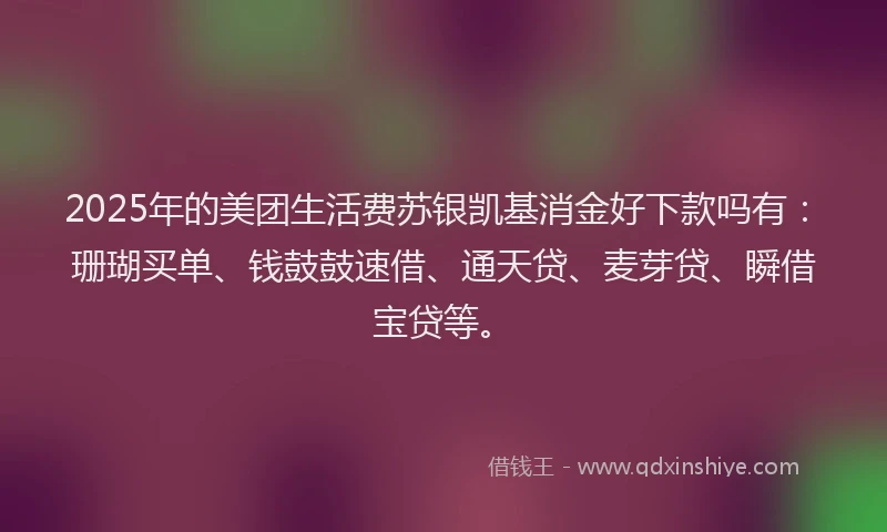 2025年的美团生活费苏银凯基消金好下款吗有：珊瑚买单、钱鼓鼓速借、通天贷、麦芽贷、瞬借宝贷等。