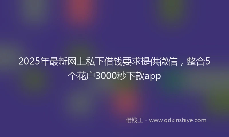 2025年最新网上私下借钱要求提供微信，整合5个花户3000秒下款app