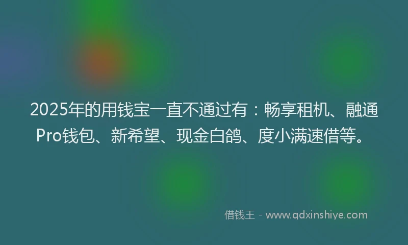 2025年的用钱宝一直不通过有：畅享租机、融通Pro钱包、新希望、现金白鸽、度小满速借等。