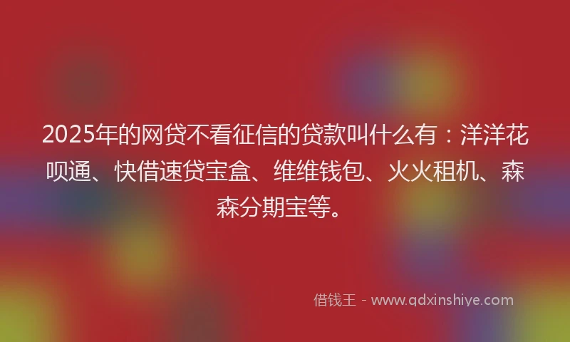 2025年的网贷不看征信的贷款叫什么有：洋洋花呗通、快借速贷宝盒、维维钱包、火火租机、森森分期宝等。