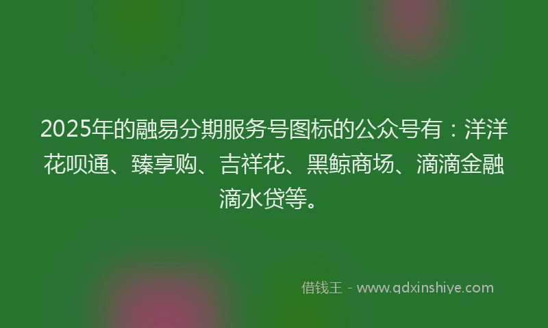 2025年的融易分期服务号图标的公众号有：洋洋花呗通、臻享购、吉祥花、黑鲸商场、滴滴金融滴水贷等。