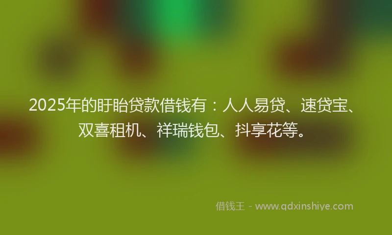2025年的盱眙贷款借钱有：人人易贷、速贷宝、双喜租机、祥瑞钱包、抖享花等。