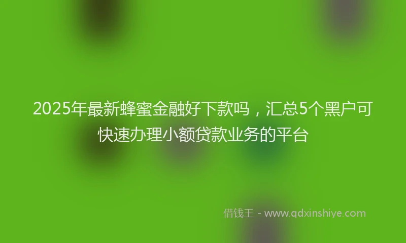 2025年最新蜂蜜金融好下款吗，汇总5个黑户可快速办理小额贷款业务的平台
