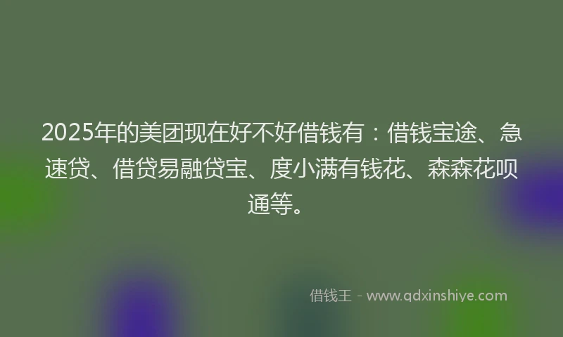 2025年的美团现在好不好借钱有:借钱宝途、急速贷、借贷易融贷宝、度小满有钱花、森森花呗通等。