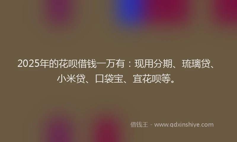 2025年的花呗借钱一万有：现用分期、琉璃贷、小米贷、口袋宝、宜花呗等。