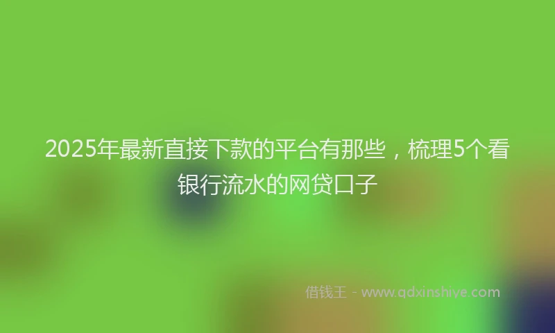 2025年最新直接下款的平台有那些，梳理5个看银行流水的网贷口子