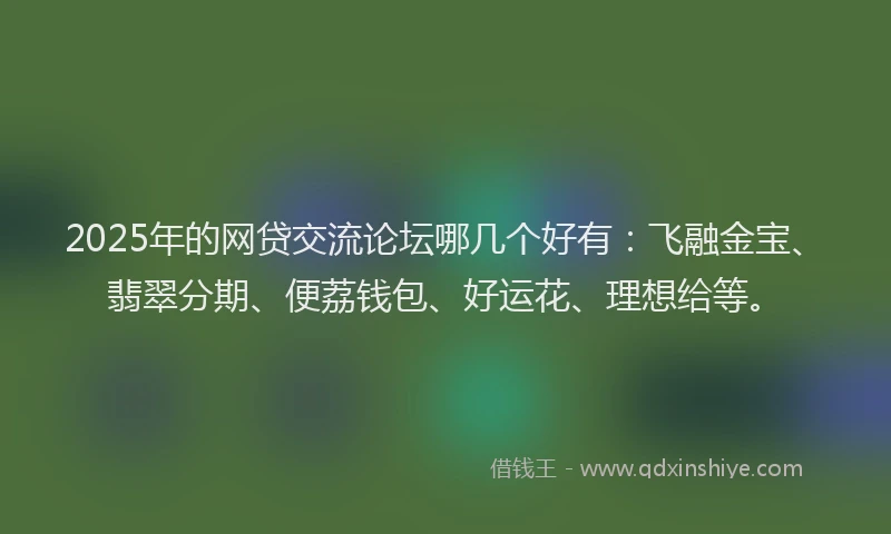 2025年的网贷交流论坛哪几个好有：飞融金宝、翡翠分期、便荔钱包、好运花、理想给等。