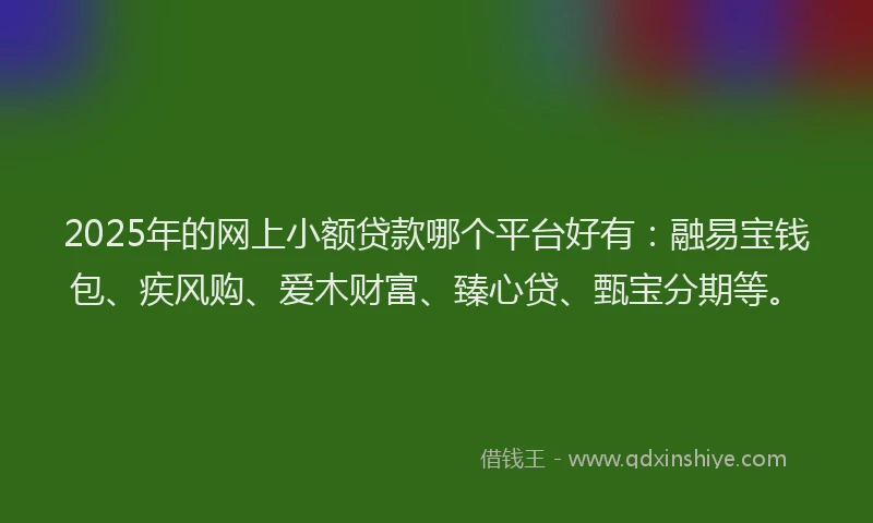 2025年的网上小额贷款哪个平台好有：融易宝钱包、疾风购、爱木财富、臻心贷、甄宝分期等。