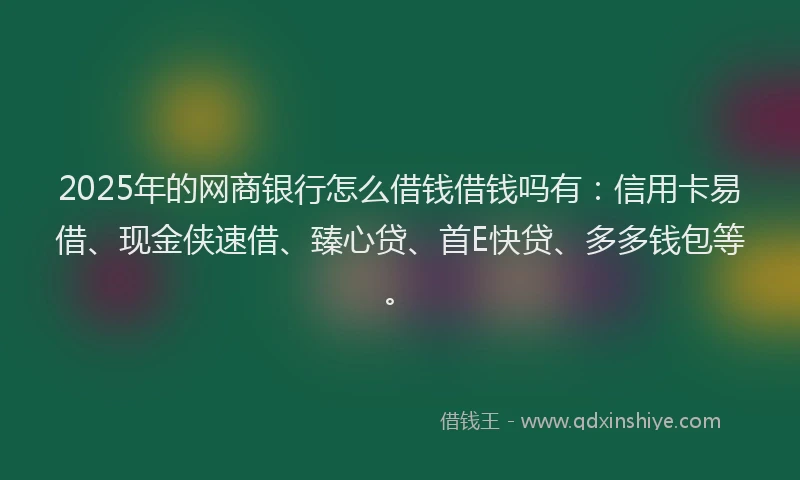 2025年的网商银行怎么借钱借钱吗有：信用卡易借、现金侠速借、臻心贷、首E快贷、多多钱包等。