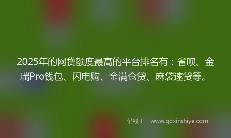 2025年的网贷额度最高的平台排名有：省呗、金瑞Pro钱包、闪电购、金满仓贷、麻袋速贷等。