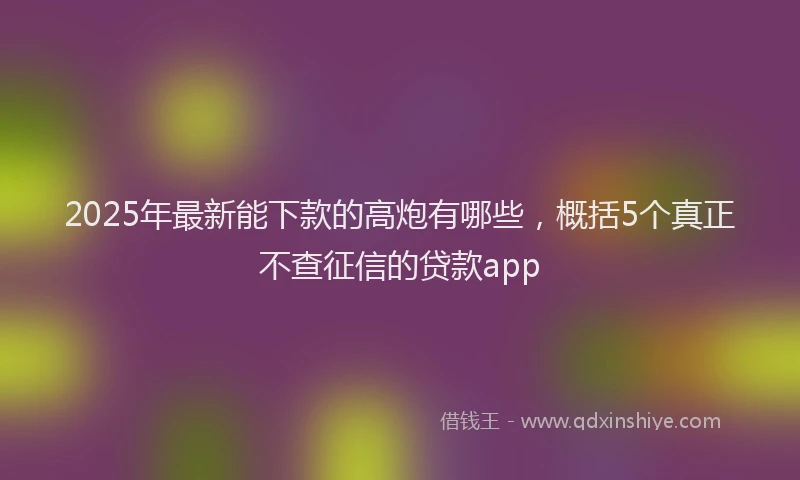2025年最新能下款的高炮有哪些，概括5个真正不查征信的贷款app