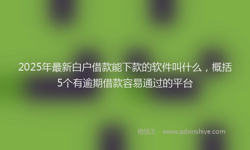 2025年最新白户借款能下款的软件叫什么，概括5个有逾期借款容易通过的平台