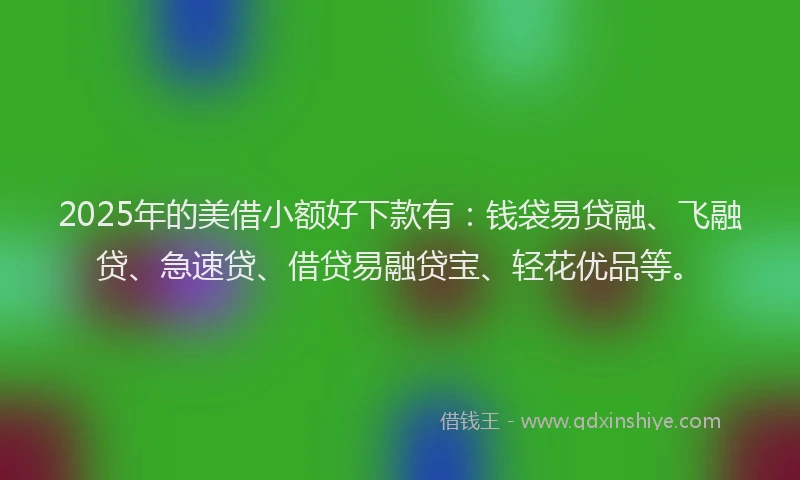 2025年的美借小额好下款有：钱袋易贷融、飞融贷、急速贷、借贷易融贷宝、轻花优品等。