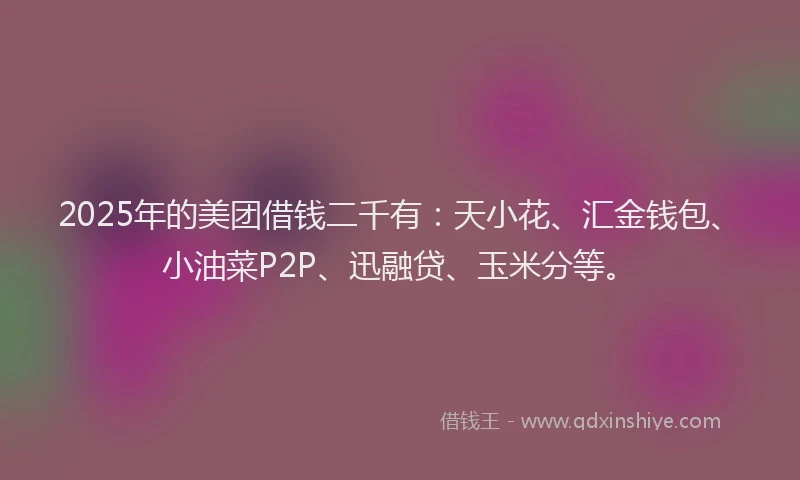 2025年的美团借钱二千有：天小花、汇金钱包、小油菜P2P、迅融贷、玉米分等。