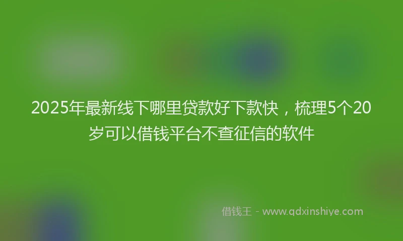 2025年最新线下哪里贷款好下款快，梳理5个20岁可以借钱平台不查征信的软件