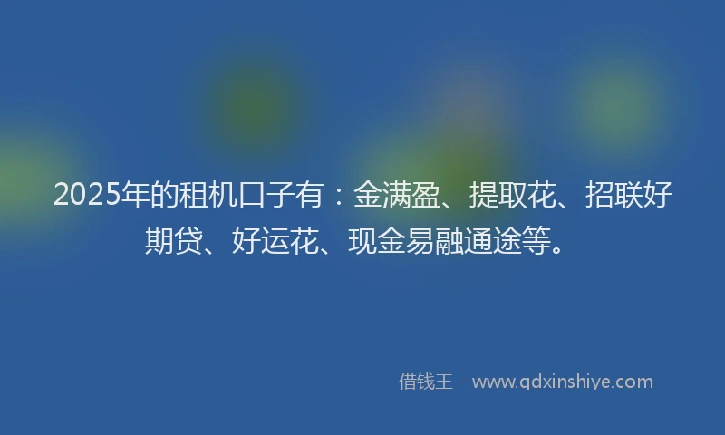 2025年的租机口子有：金满盈、提取花、招联好期贷、好运花、现金易融通途等。