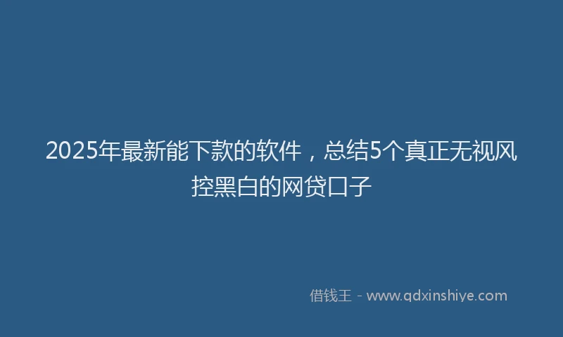 2025年最新能下款的软件，总结5个真正无视风控黑白的网贷口子