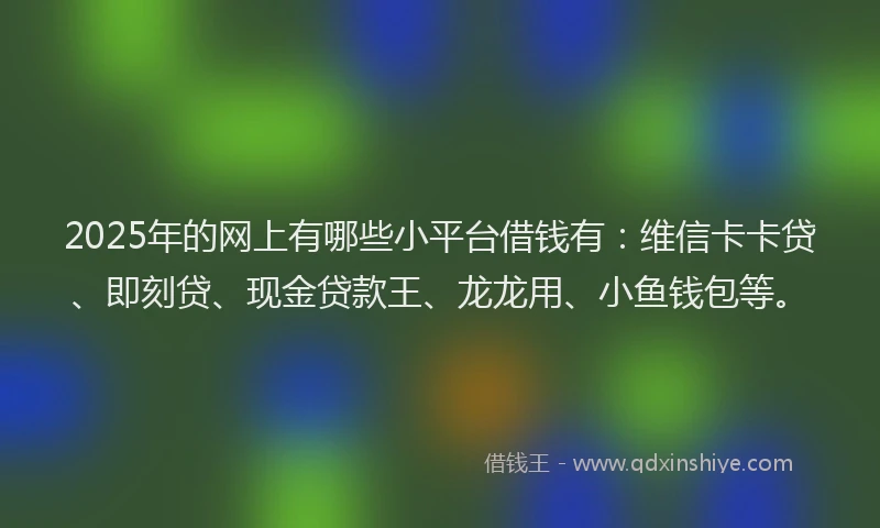 2025年的网上有哪些小平台借钱有：维信卡卡贷、即刻贷、现金贷款王、龙龙用、小鱼钱包等。