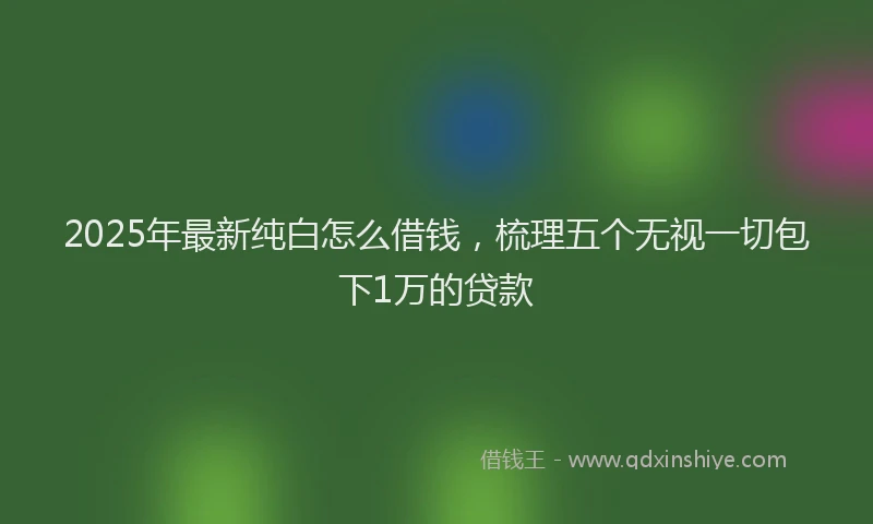 2025年最新纯白怎么借钱，梳理五个无视一切包下1万的贷款