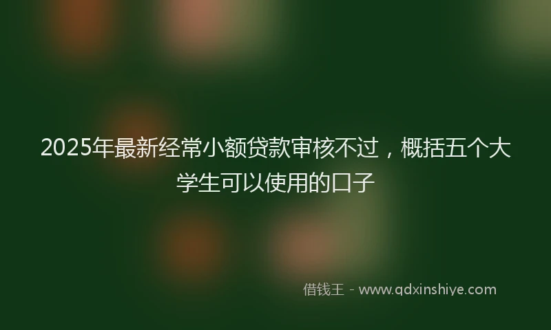 2025年最新经常小额贷款审核不过，概括五个大学生可以使用的口子