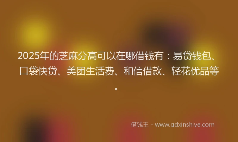 2025年的芝麻分高可以在哪借钱有：易贷钱包、口袋快贷、美团生活费、和信借款、轻花优品等。