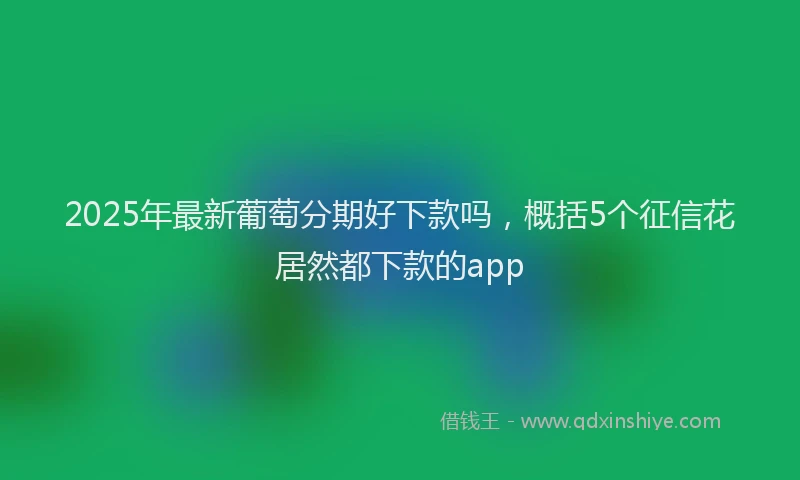 2025年最新葡萄分期好下款吗，概括5个征信花居然都下款的app