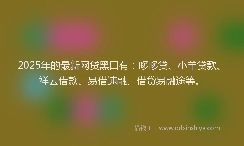 2025年的最新网贷黑口有：哆哆贷、小羊贷款、祥云借款、易借速融、借贷易融途等。