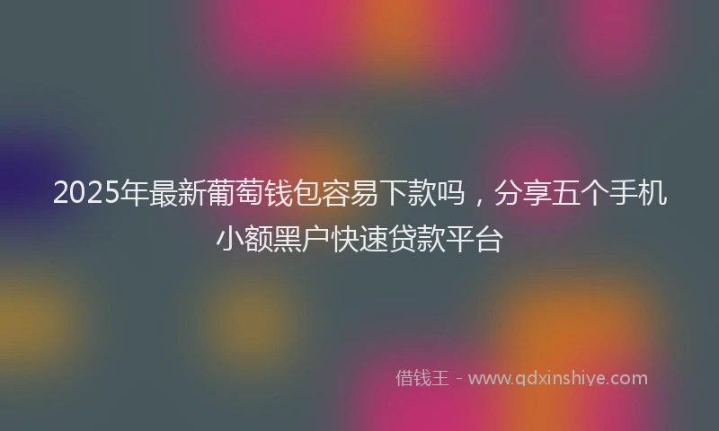 2025年最新葡萄钱包容易下款吗，分享五个手机小额黑户快速贷款平台