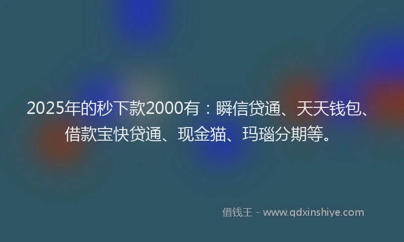 2025年的秒下款2000有：瞬信贷通、天天钱包、借款宝快贷通、现金猫、玛瑙分期等。