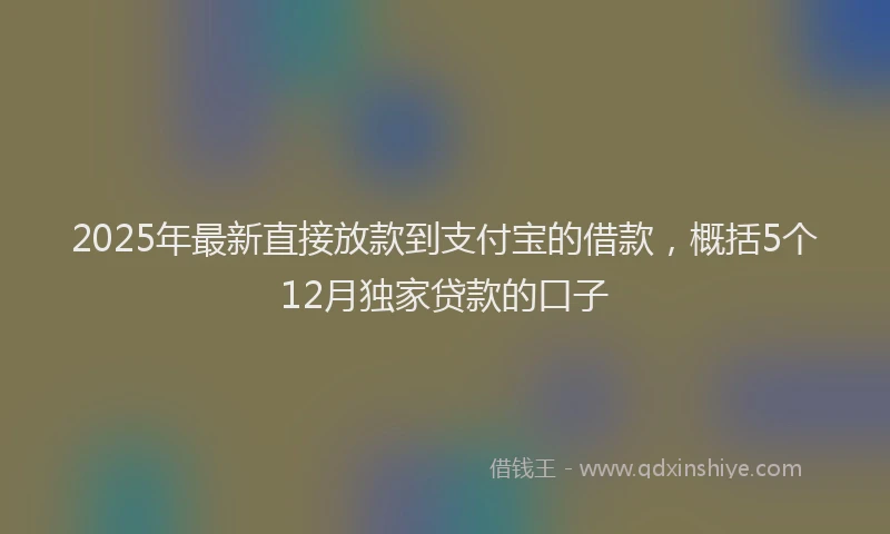 2025年最新直接放款到支付宝的借款，概括5个12月独家贷款的口子