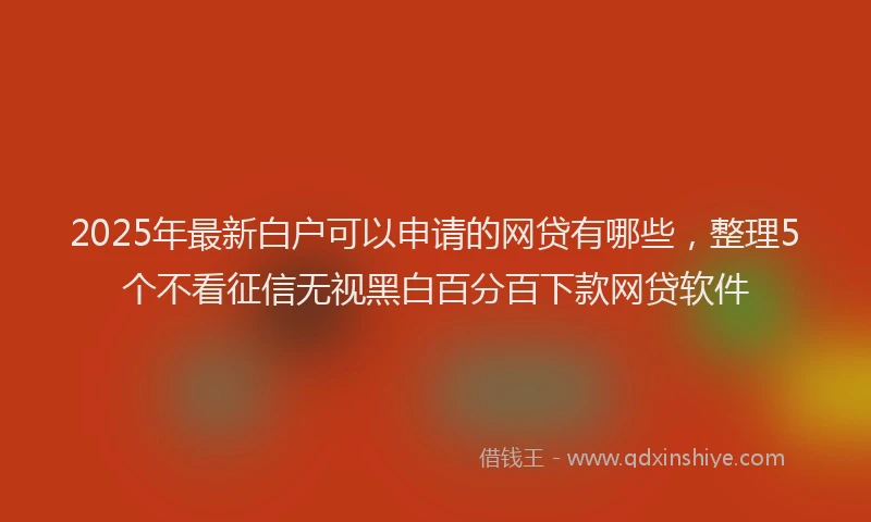 2025年最新白户可以申请的网贷有哪些，整理5个不看征信无视黑白百分百下款网贷软件