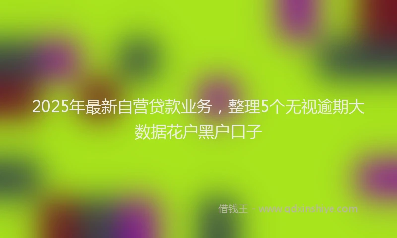 2025年最新自营贷款业务，整理5个无视逾期大数据花户黑户口子