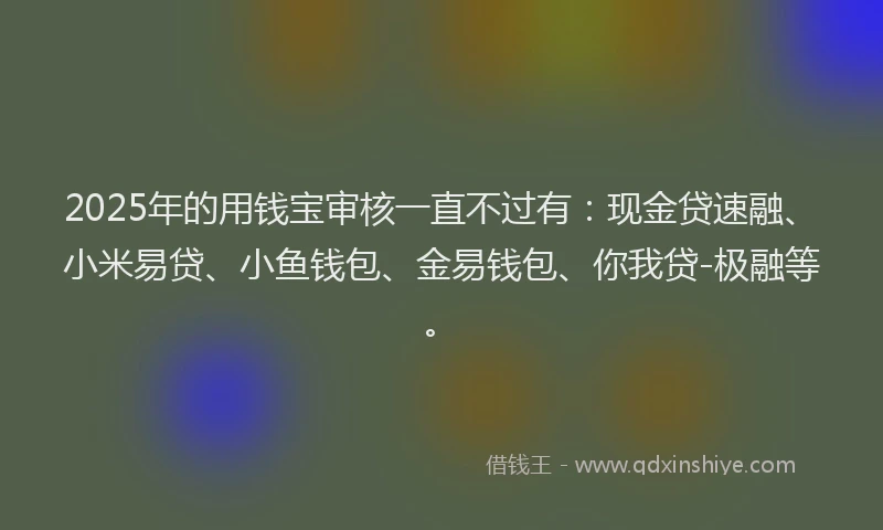 2025年的用钱宝审核一直不过有：现金贷速融、小米易贷、小鱼钱包、金易钱包、你我贷-极融等。